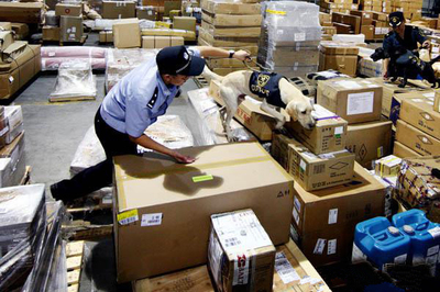 各國海淘轉運公司的基本情況